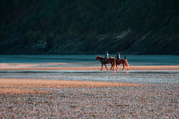 chevaux sur la plage de binic à marée basse - bretagne - côte d'armor