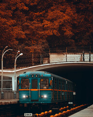 Obraz premium tram