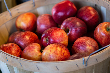 Gala apples in a basket