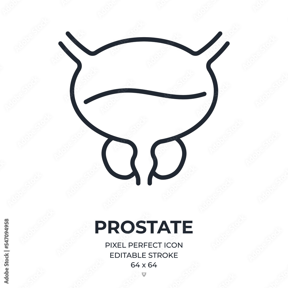 Canvas Prints prostate editable stroke outline icon isolated on white background flat vector illustration. pixel p