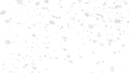 Snowflakes falling down on transparent background, heavy snow flakes isolated, Flying rain, overlay effect for composition