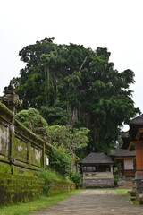 Bali, Indonesia - November 11, 2022: The Goa Gajah Temple