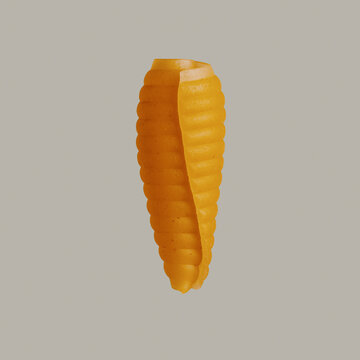 Close up still life raw castellane pasta noodle on gray background
