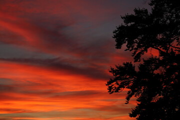 orange sunset in the clouds