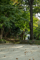 公園・ベンチ