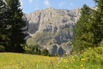 Fototapeta premium Wandern in den Dolomiten. Bergpanorama im Sommer