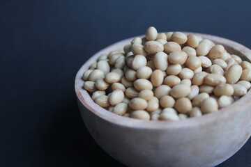 lamtoro seeds on a black background