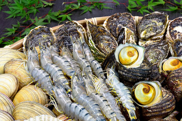 海鮮食材盛り合せ　海老、サザエ、本庄貝