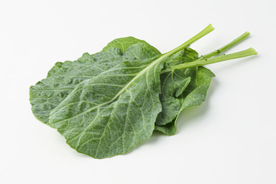 kale, kail, leaf cabbage isolated on white background