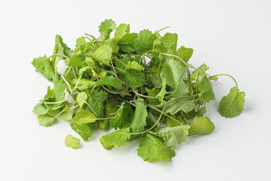 baby kale, baby kail isolated on white background
