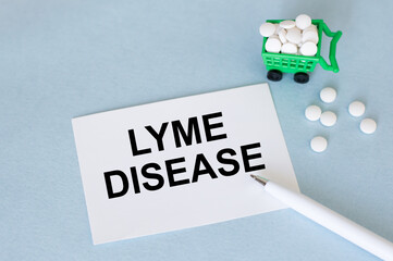 Lyme disease, medical concept surrounded by pills and medical supplies on gray background. Top view.
