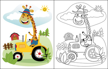 Coloring book of funny giraffe driving tractor on farming background