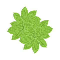 Leaf Logo Green Plant Design Leaves Of Trees Product Brand Template Illustration