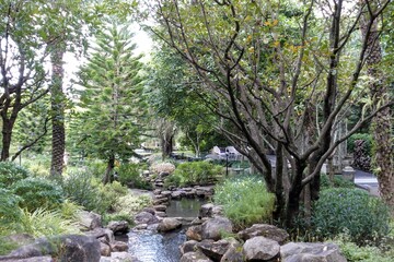 garden with stone and trees