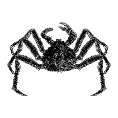 King Crab hand drawing vector illustration isolated on background.