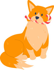 Christmas small corgis dog celebrate funny pet, christmas design cartoon vector illustration isolated on white.