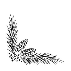 Simple hand drawn black engraving style vector illustration. Coniferous cones and branches, corner. Christmas winter decor. Ink sketch.