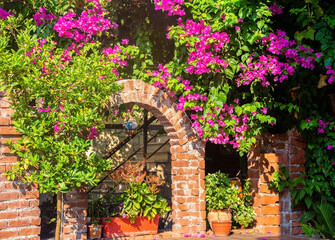 View of bougainvillea flowers in the streets of Kaleici, historical city center of Antalya, Turkey (Turkiye). Vibrant colors, scenis old street at summer day