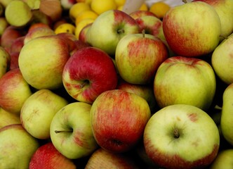 various multicolor sweet apples close up