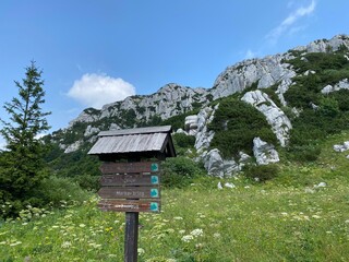 View of distant hills and mountain forests of Gorski Kotar from Risnjak National Park - Croatia (Pogled na udaljene brijegove i planinske šume Gorskog kotara iz nacionalnog parka Risnjak - Gorski kota