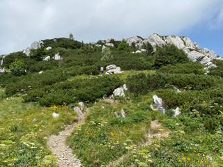 View of distant hills and mountain forests of Gorski Kotar from Risnjak National Park - Croatia (Pogled na udaljene brijegove i planinske šume Gorskog kotara iz nacionalnog parka Risnjak - Gorski kota