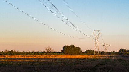 Ligne électrique à très haute tension, photographiée dans une prairie