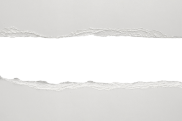 White ripped paper torn edges strips isolated on white background