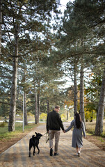 Young loving couple walking with pet black Labrador retriever along autumn woodland path through trees, view from the back. Concept: autumn or spring fashion clothes, lifestyle. Dog walker. 