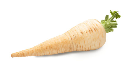 parsley root isolated on white. the entire image in sharpness. - obrazy, fototapety, plakaty