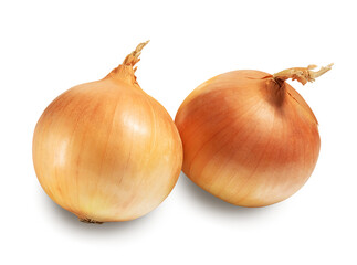 onion bulbs isolated on white. the entire image in sharpness.