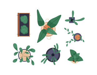 Potted plants set, above top view. Green leaf houseplants overhead. Natural home and office interior decoration growing in flowerpots, planters. Flat vector illustrations isolated on white background