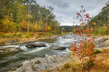 Closeup of water flowing in the Mountain Fork River of Beavers Bend State Park, Oklahoma - obrazy, fototapety, plakaty