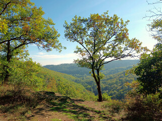 Aussicht vom Rabenfels auf dem Premium-Wanderweg Vitaltour Stein, Wein & Farbe bei Wallhausen in der Verbandsgemeinde Rüdesheim im Landkreis Bad Kreuznach in der Nahe-Region von Rheinland-Pfalz. 