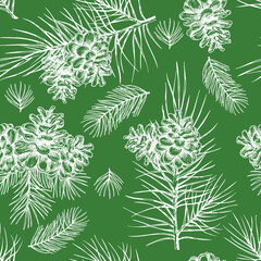 Naklejka na ściany i meble Vector Pine Cone seamless pattern. Hand drawing sketch illustration. Botanical illustration pine cone, cedar. Vintage engraved graphic. New Year and Christmas holiday decor.