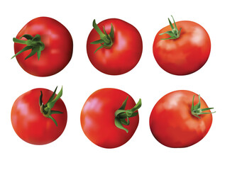 Tomatoes set isolated on white background. Red fresh tomatoes with green stems, top view, side view. Print, template, design element for packaging Red tomato in a realistic style