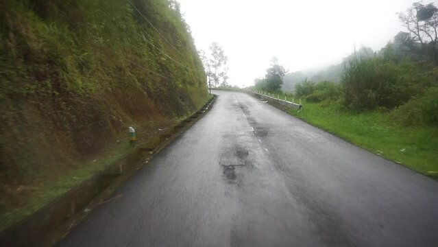 trip with natural scenery of hills and tall green trees with cloudy foggy weather after rain during the day