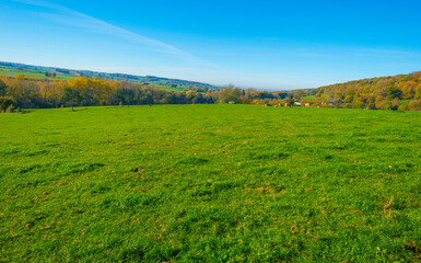Fields and trees in a green hilly grassy landscape under a blue sky in sunlight in autumn, Voeren, Limburg, Belgium, November, 2022