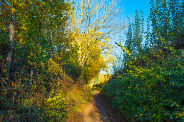 Fields and trees in a green hilly grassy landscape under a blue sky in sunlight in autumn, Voeren, Limburg, Belgium, November, 2022