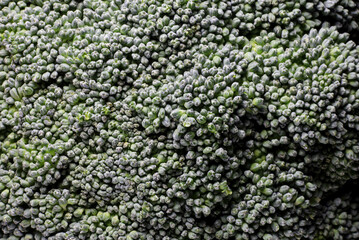 close-up detail of organic broccoli 
