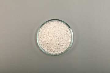 Potassium sorbate, potassium salt of sorbic acid in petri dish, top view. Food additive E202 used...