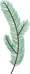 Pine leaf branch