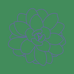 Vector illustration of succulent isolated on green background. Doodle logo. Simple sketch.