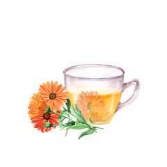 Glass cup with calendula tea. Watercolor illustration isolated on white background