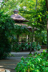 pavilion in a park surrounded by large trees and small trees that is shady and refreshing.
