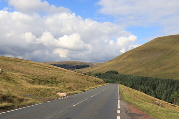 Brecon beacons scenery in the UK.