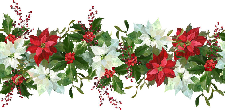 poinsettia flowers and holly