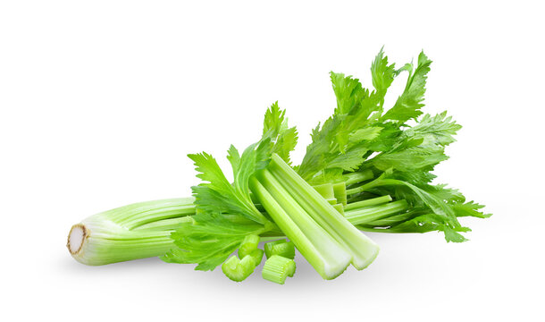 Fresh celery isolated on transparent png
