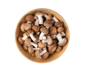 Shiitake mushrooms in wood bowl isolated on  transparent png