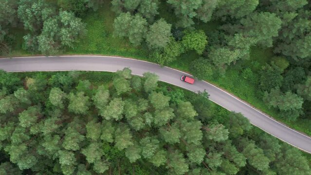 Express Delivery Shipping Service. Aerial View Red Van Driving Down An Asphalt Road Crossing Vast Forest On Summer Day. Aerial Shot Of Car Driving On Road In Pine Tree Forest. Scenic Landscape.