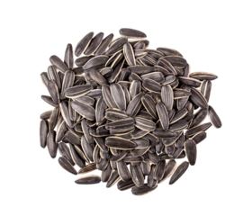 sunflower seeds isolated on transparent png